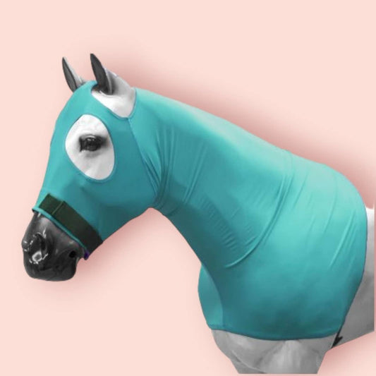 Showman Stretchy Lycra Pull on Slicker Hood Small Teal Mini Pony Foal