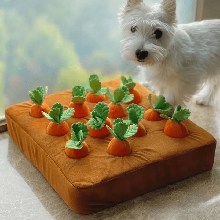 Carrot Dog Plush Toy