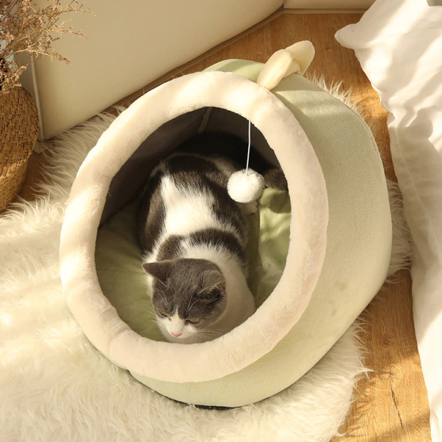 Sweet and Cozy Cat bed - Funny Cute style