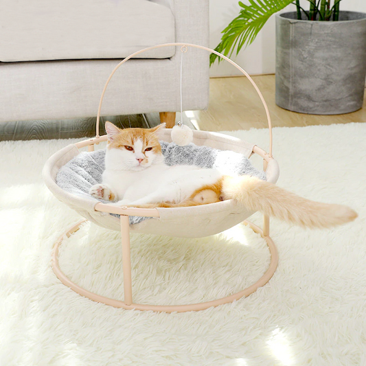 Cat bed with raised hammock