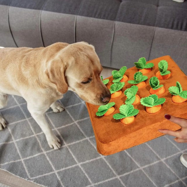 Carrot Dog Plush Toy