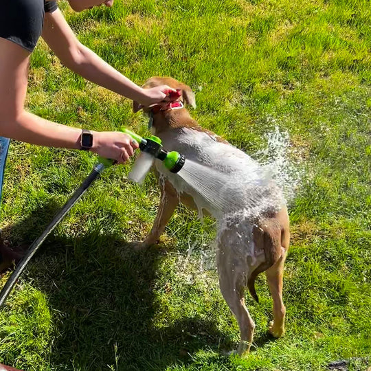 Dog Washer Sprayer - Foam Pressure Washer