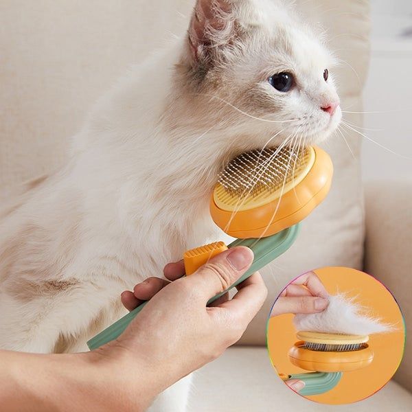 Cat Pumpkin Bruch - Sunflower Deshedder